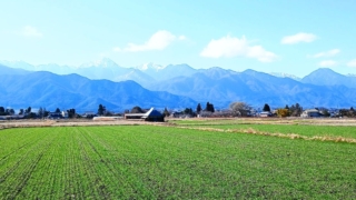 Thumbnail of post image 096