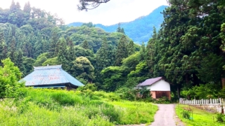 Thumbnail of post image 175